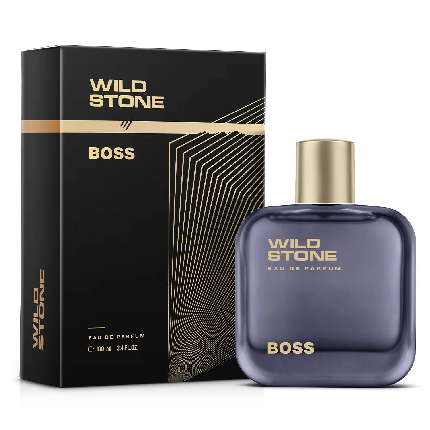 Wild Stone Premium Long Lasting Perfume Eau de Parfum - 100 ml  (For Men)